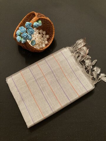 Silver Saree with Contrast Blouse